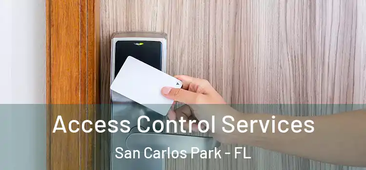 Access Control Services San Carlos Park - FL