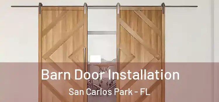 Barn Door Installation San Carlos Park - FL