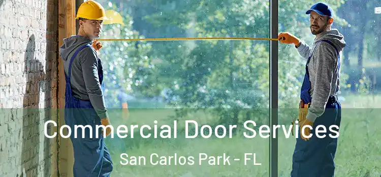 Commercial Door Services San Carlos Park - FL
