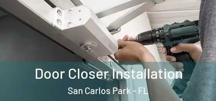 Door Closer Installation San Carlos Park - FL