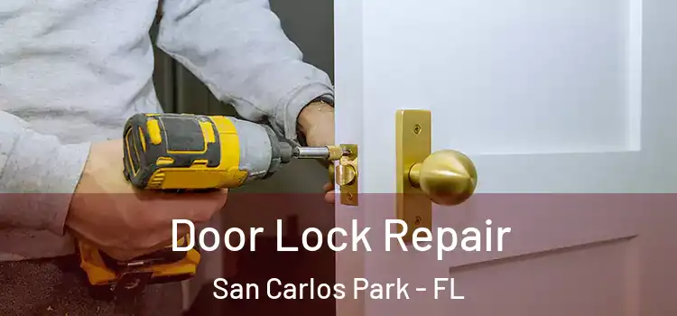 Door Lock Repair San Carlos Park - FL