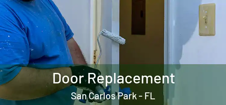 Door Replacement San Carlos Park - FL