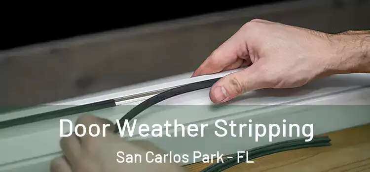 Door Weather Stripping San Carlos Park - FL