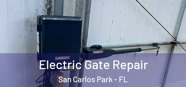 Electric Gate Repair San Carlos Park - FL