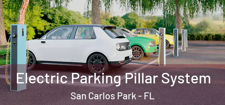 Electric Parking Pillar System San Carlos Park - FL