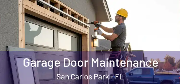 Garage Door Maintenance San Carlos Park - FL