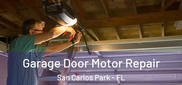  Garage Door Motor Repair San Carlos Park - FL