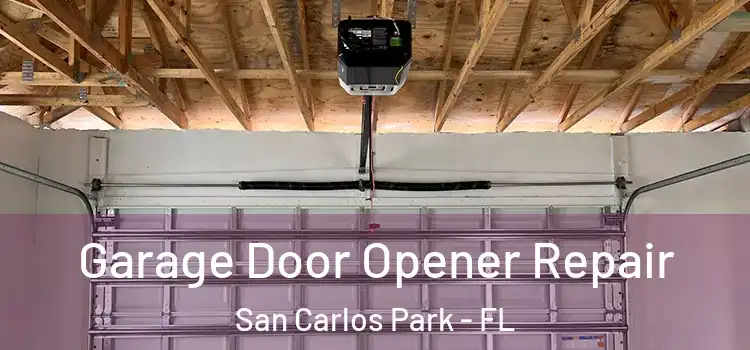  Garage Door Opener Repair San Carlos Park - FL