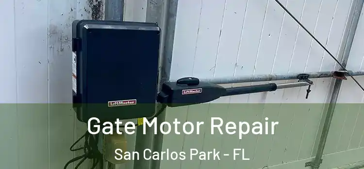  Gate Motor Repair San Carlos Park - FL