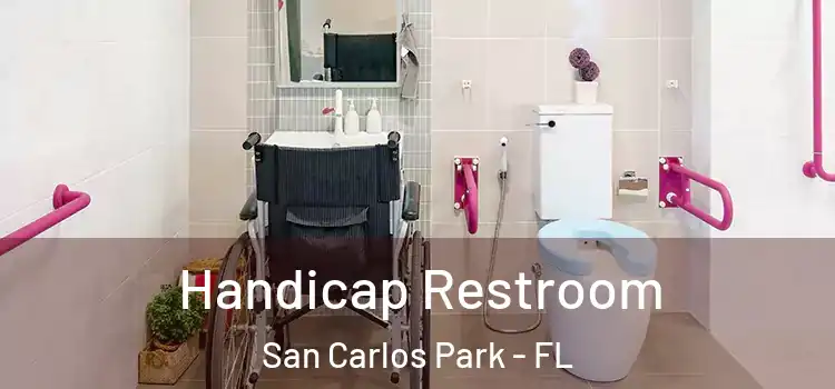 Handicap Restroom San Carlos Park - FL