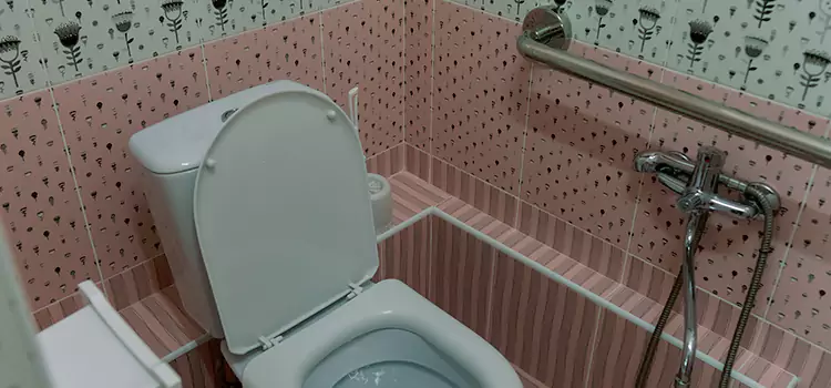 Meeting Diverse Needs With Accessible Restroom Solutions in San Carlos Park, FL