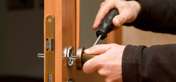 Rekey Car Locks San Carlos Park