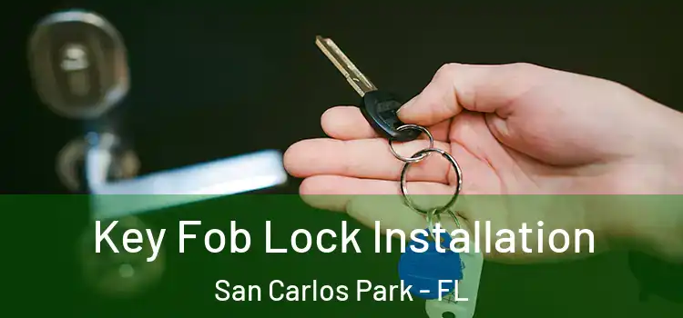  Key Fob Lock Installation San Carlos Park - FL