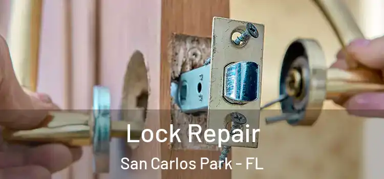 Lock Repair San Carlos Park - FL