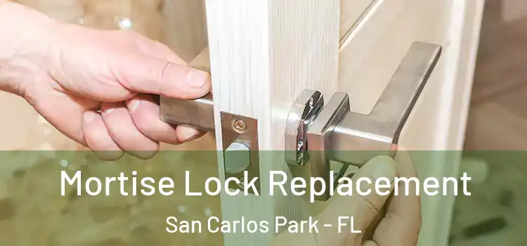 Mortise Lock Replacement San Carlos Park - FL