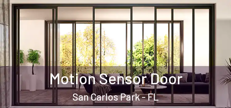 Motion Sensor Door San Carlos Park - FL