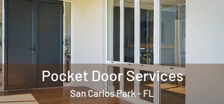 Pocket Door Services San Carlos Park - FL
