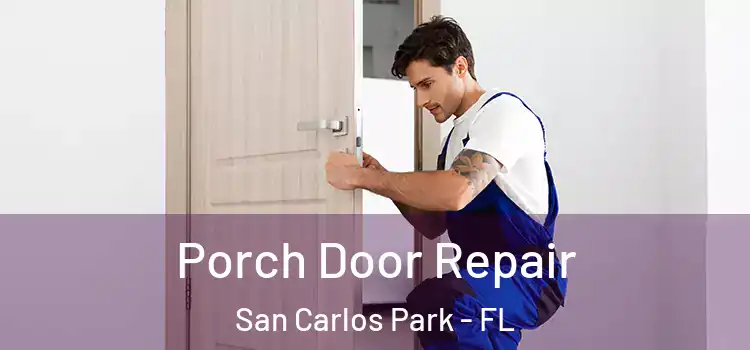  Porch Door Repair San Carlos Park - FL