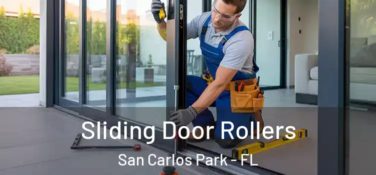 Sliding Door Rollers San Carlos Park - FL