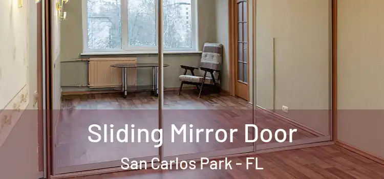  Sliding Mirror Door San Carlos Park - FL